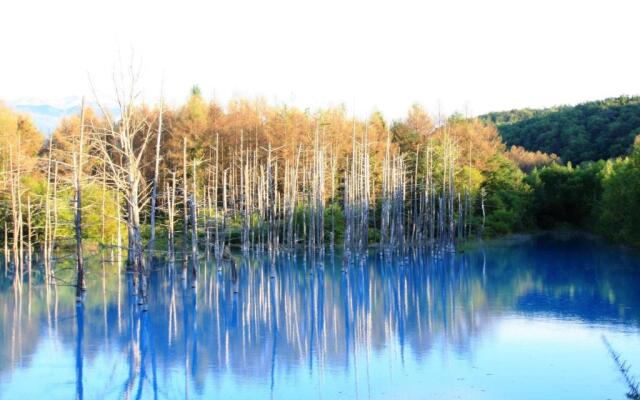 Furano - Hotel / Vacation STAY 35850