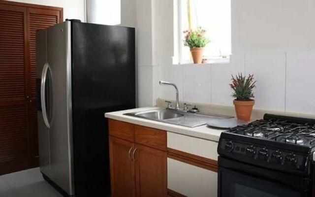 Stunning 2 Beds Apt WiFi in Polanco