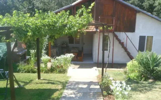 Guest House Milena Sinemorets