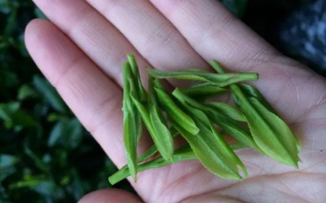 Xuanzhe TeaHouse Inn