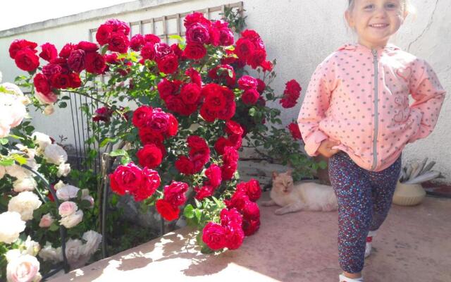 Villa Byala Grape House