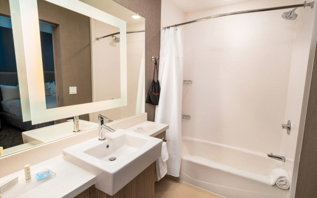 SpringHill Suites by Marriott Newark Fremont