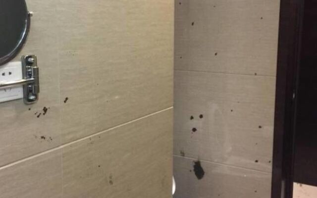 Romanjoy International Hotel Shenzhen