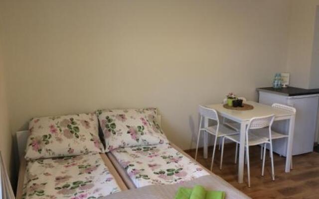 Willa Aleksandra - Apartamenty