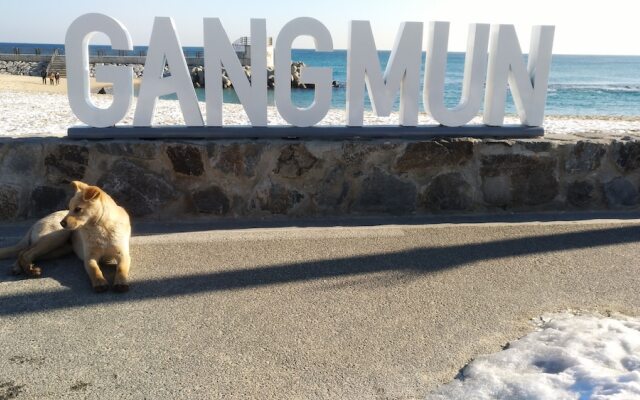Gangneung Guest House Ocean Capsule