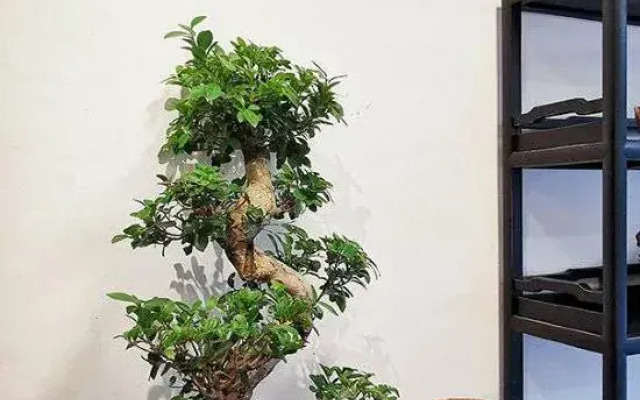 Xingyi Mountain Breeze Inn