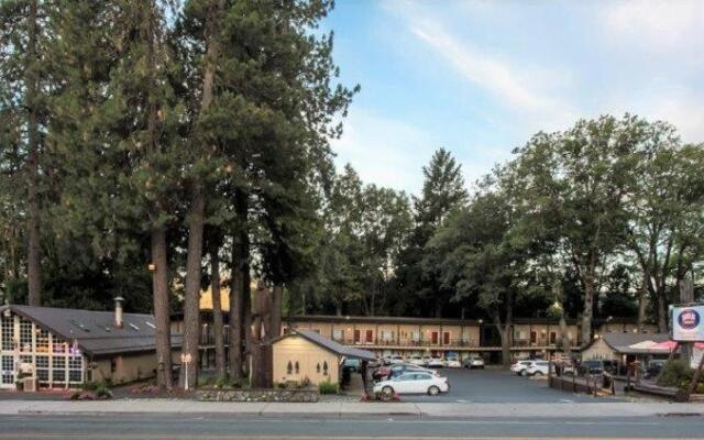 Shasta Inn