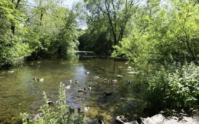Puddleduck Cottage