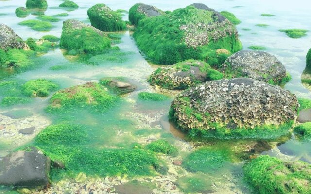 Beihai Weizhou Island Small Time Inn