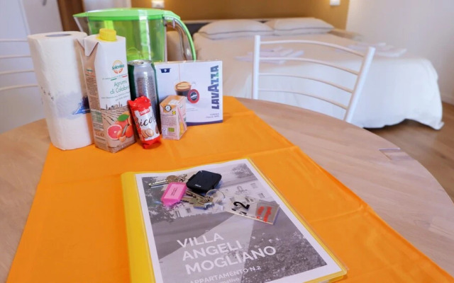 Villa Angeli Mogliano