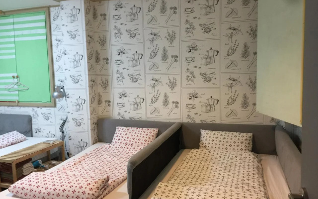 Backpackers in Jeju City Center