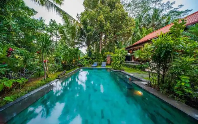 Luxury 3BR Infinity Jungle View Aashaya Villa Ubud