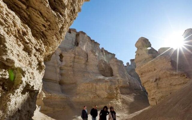 Belfer's Dead Sea cabins- Apartments