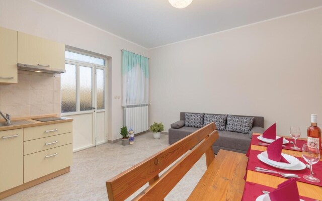 Nice Home in Nedescina With Wifi and 3 Bedrooms