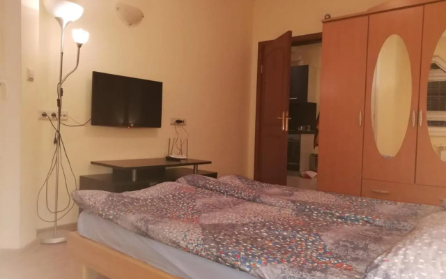 BOROVETS Royal Plaza - A405