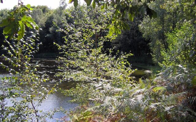 Wooden Chalet Close to Lake
