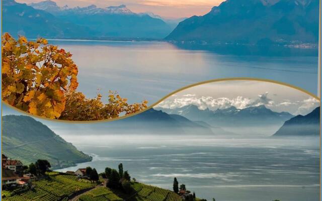 T2 « lémanesque » aux nuances du lac avec jardin
