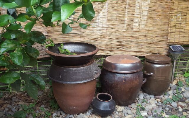 Wellbeing Guesthouse