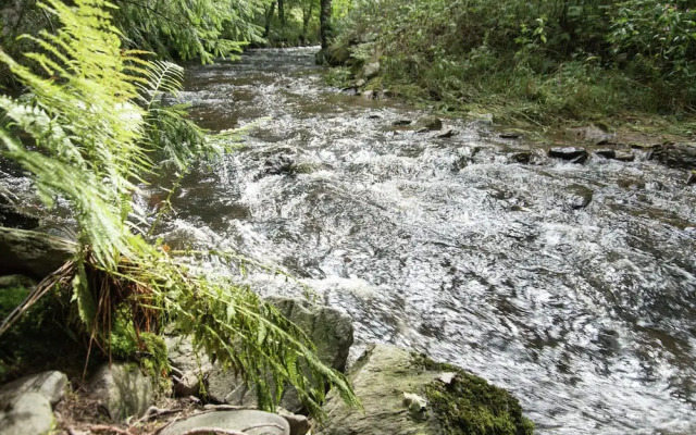 Majestic Stay in Deutschneudorf