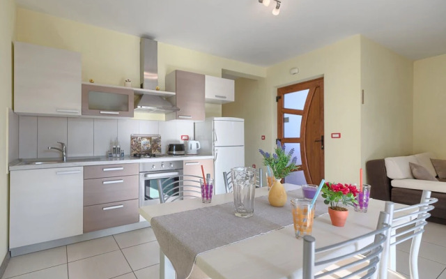 Linden Tree Pula in Pula