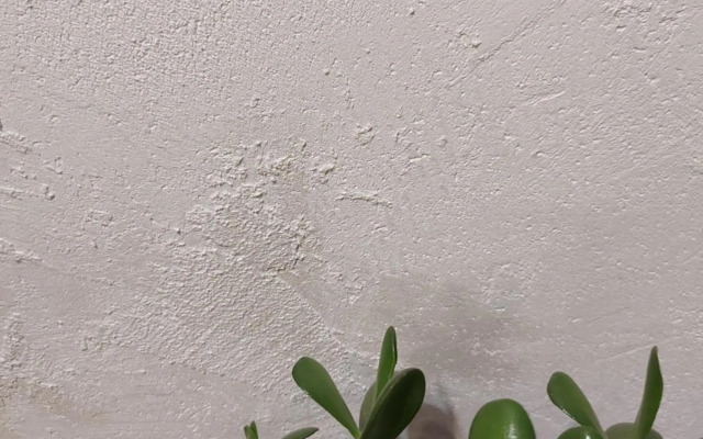 Loft Comfort Yerevan