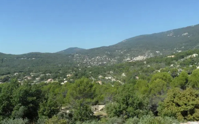 Olea