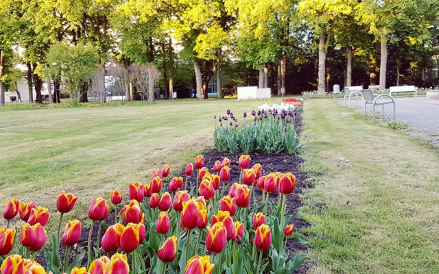 Hotel Garni Goldene Traube