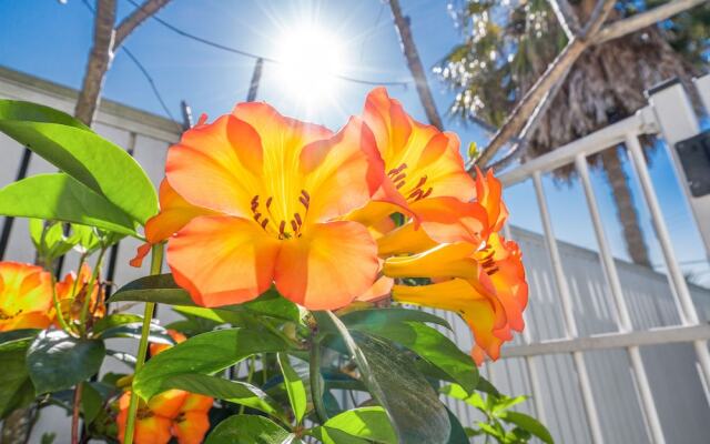 Your Luxury Escape - Away on Seaview