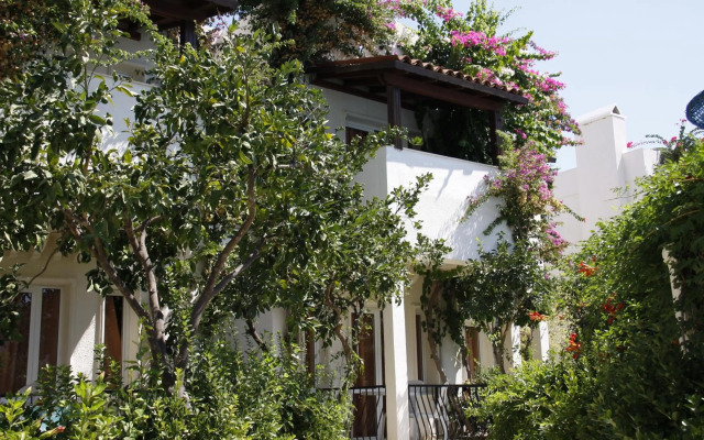 Summer in Garden Suites & Beach Hotel