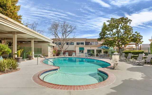Best Western Plus Black Oak