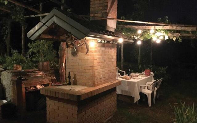 Il Vigneto Sul Lago Vineyard Lake View