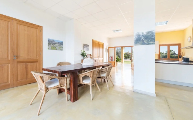 Cas Colector in Selva