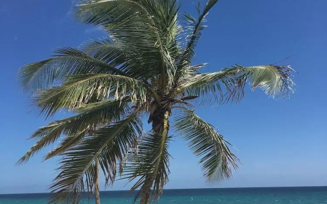 Coqui del Mar Guest House