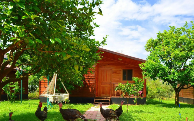 Lemon Garden Lodge