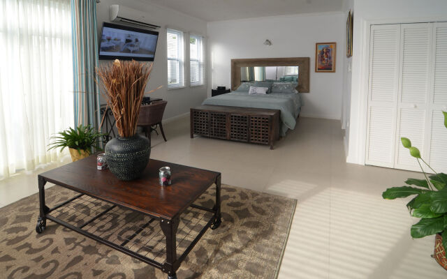 Kingsway New Kingston Guest Apartment II