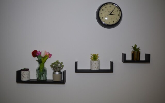 Executive Apartment Cardiff Central