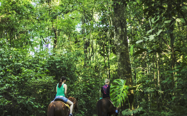 Canzi Cataratas Hotel