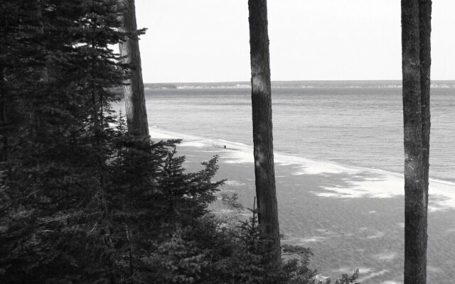 White Pine Lodge