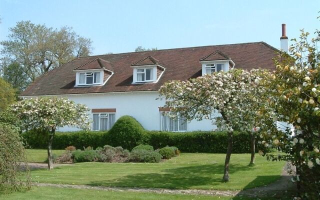 Forest Tea House B & B