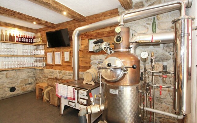 Plush Farmhouse in Ramsau im Zillertal near Ski Area