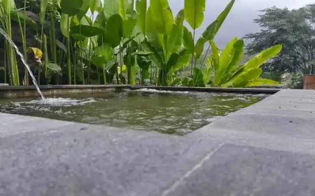 Onion Garden and Natural Hotspring
