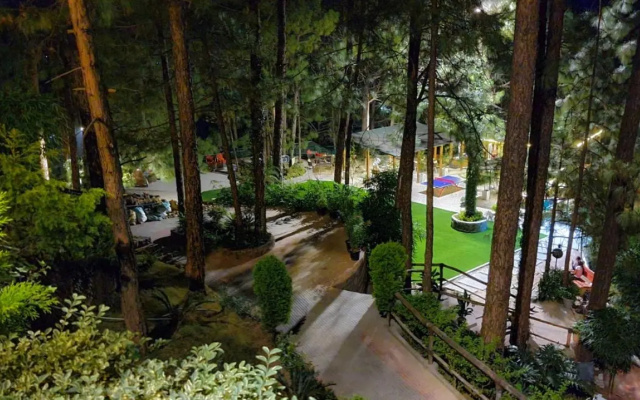 Kasauli Hills Resort