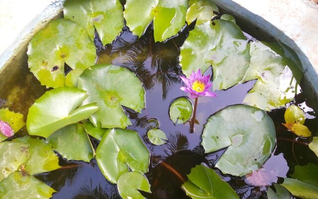 Sigiriya Nature Villa Lodge