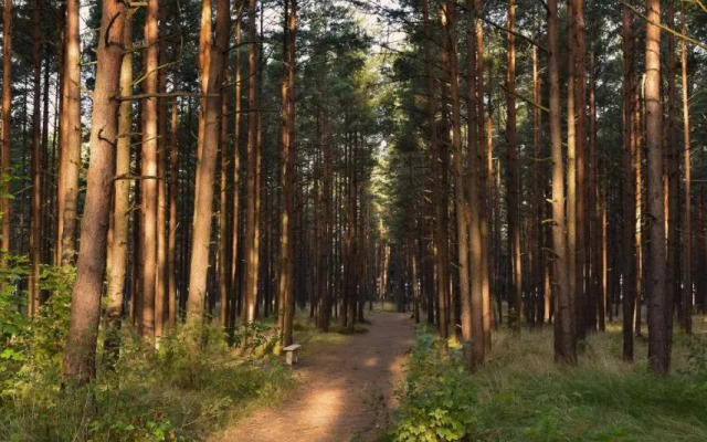 Vaivorykštės apartamentai - mano jūra 2