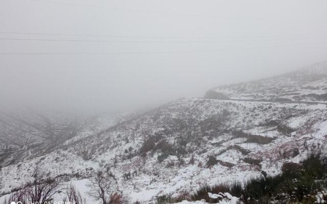 Azevinho Guest House