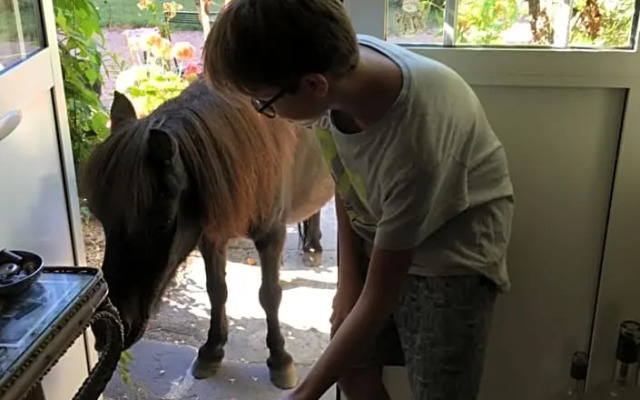 Château de Saint-Agoulin