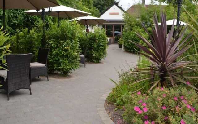 The Greyhound - Winterborne Kingston