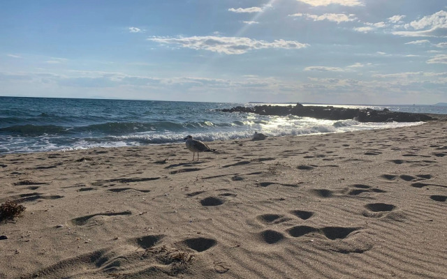 Apartament №1 in Villa Astoria 5