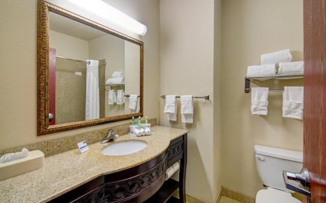 Holiday Inn Express Hotel & Suites Terrell by IHG