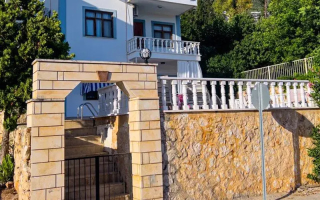 Seahorse Kalkan Daire